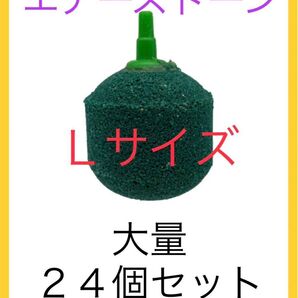 【数量限定】DCM エアーストーン Lサイズ 大量24個セット!!激安