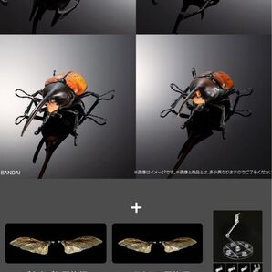 オンライン版 いきもの大図鑑 アドバンス ゾウカブトとヘラクレスオオカブト 全4種