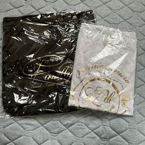 安室奈美恵ツアーグッズ