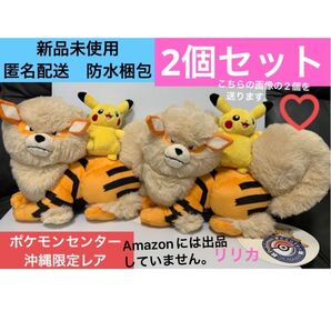 新品未使用 ポケモンセンターオキナワ 限定 ぬいぐるみウインディとピカチュウ ポケモン