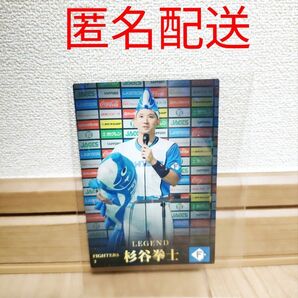 プロ野球チップス 2023 第1弾レジェンドカード杉谷拳士