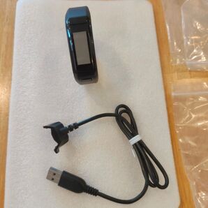 garmin ガーミン Vivosmart HR ディスプレイ軽度傷 グローバル