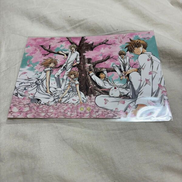 CLAMP展 UVイラストカード ツバサ レザヴォア クロニクル さくら 小狼 ファイ
