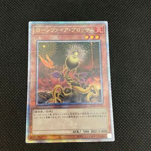 25. 遊戯王 ローンファイア ブロッサム クオシク