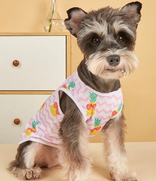 犬服 ドッグウェア 小型犬用 猫服 キャットウェア 夏 フルーツ パイナップル 舐め壊し防止 掻きこわし 術後