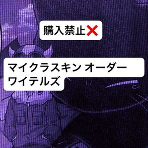 ワイテルズ アイロンビーズ マイクラスキン