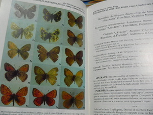 Entomological News from Russia　1巻1号と2号　ロシア　昆虫　パルナシウス、カミキリムシ、オサムシ、カナブン