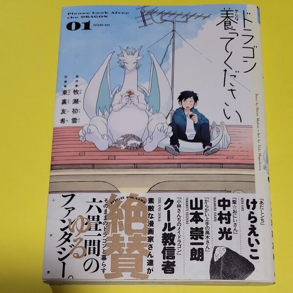 新品 初版 ドラゴン養ってください 1 (裏少年サンデーコミックス) 牧瀬初雲/著 東裏友希/著