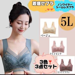 体型カバー胸を小さく見せる 着痩せブラ スリム シルエットブラ シームレス 5L シームレスブラ ノンワイヤーブラ