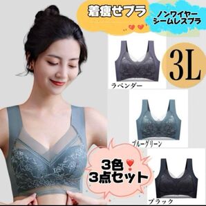 体型カバー胸を小さく見せる 着痩せブラ スリム シルエットブラ シームレス 3L シームレスブラ ノンワイヤー