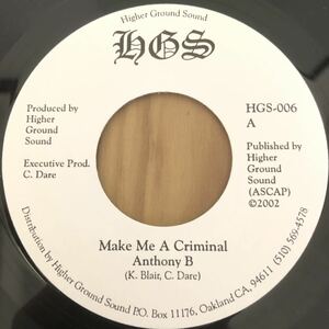 送料無料★レア ミディアム ビックチューン!! Make Me A Criminal / Anthony B★試聴あり