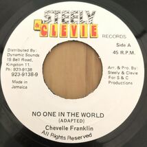 送料無料★レア アニタ・ベーカー 名曲カバー!! Magnum Riddim★NO ONE IN THE WORLD / Chevelle Franklin★_画像1