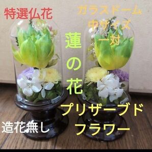 特選仏花 蓮の花 ガラスドーム 中サイズ 一対 造花無し プリザーブドフラワー