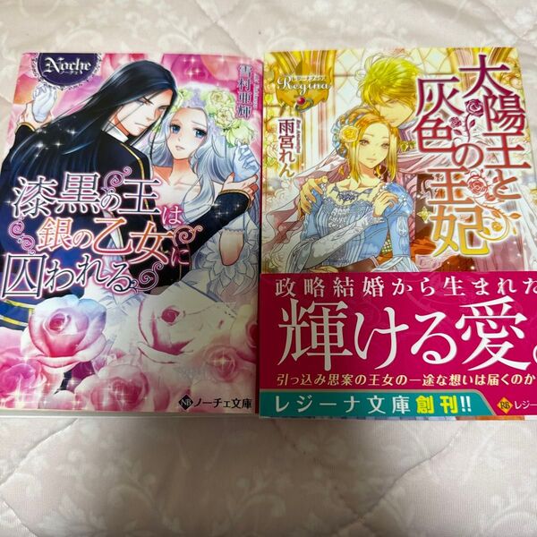 漆黒の王は銀の乙女に囚われる tl小説