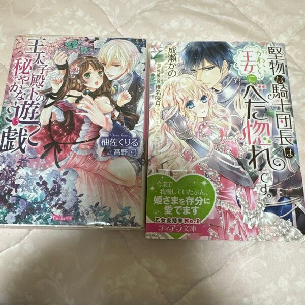 王太子殿下の秘やかな遊戯 tl小説