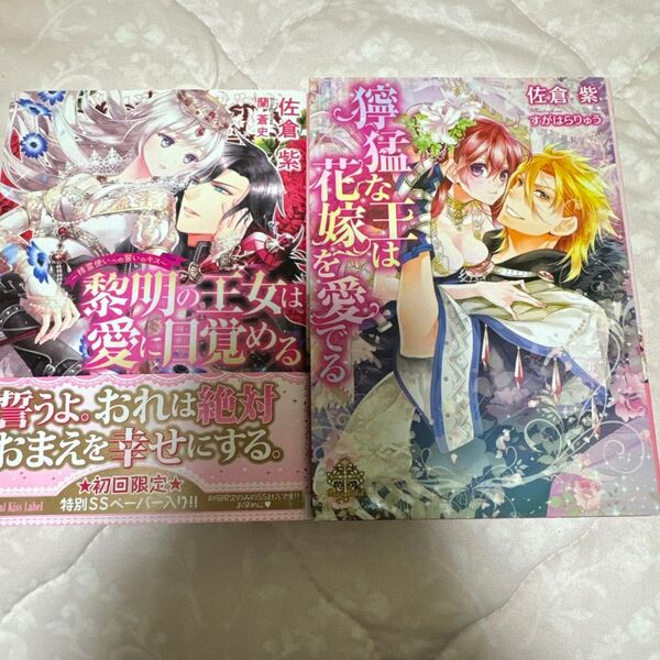 獰猛な王は花嫁を愛でる tl小説