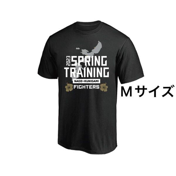 日本ハム ファイターズ 2023 キャンプロゴ Tシャツ 半袖 Mサイズ
