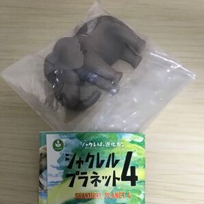 シャクレルプラネット4 ゾウ ガチャガチャ