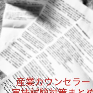 産業カウンセラー実技対策口頭試問想定問答集10問と回答例のみ☆キャリアコンサルタント対策にも!別売で理論家、法律、関連白書集あり