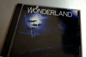 Wonderland ワンダーランド Is This... 未知なる楽園 ALCB-3164 帯・解説・歌詞・対訳付 ディスク再生面キズ有 メロディック・ハード USED