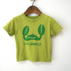 patagonia 可愛い一枚 LIVE SIMPLY Tシャツ 12M(80cm位)