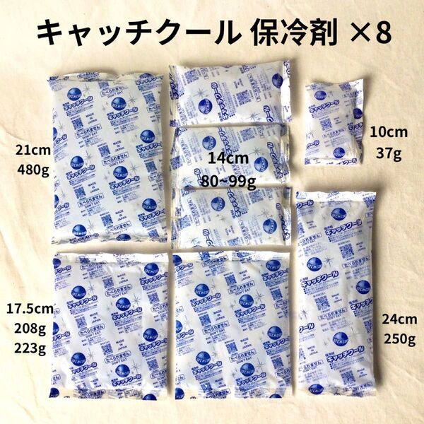 キャッチクール 保冷剤 板状 37g〜480g 5種 8コ クーラー 冷凍 保存 弁当 ランチボックス アウトドア 釣り 熱中症