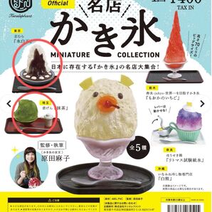 名店かき氷ミニチュアコレクション2種