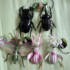 生物図鑑 キッズシリーズ リアルカブトクワガタ リアルカマキリ3 昆虫 ストラップ ハナカマキリ カブトムシ フィギュア