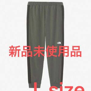 THE NORTH FACE APEX Flex Pant エイペックスフレックスパンツ L size