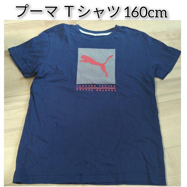 PUMAプーマTシャツ160cm