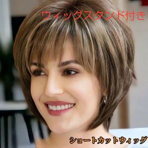 フルウィッグ ショートカット ウィッグ コスプレ かつら メッシュカラー ウィッグスタンド付 ヘアネット付属