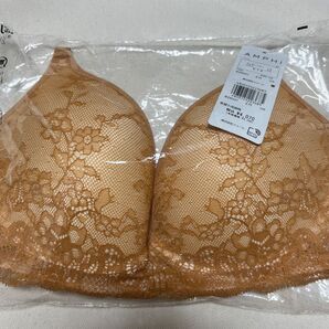 ブラジャー ワコールブラジャー 大きめブラジャー