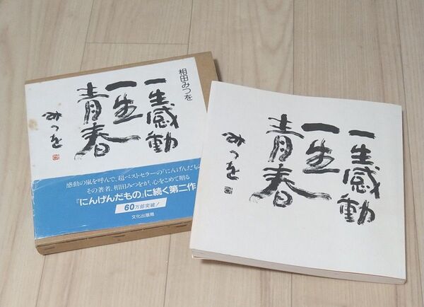 一生感動一生青春 相田みつを/著