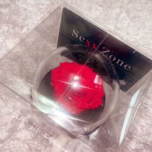 SexyZone 10周年 記念品 timelesz
