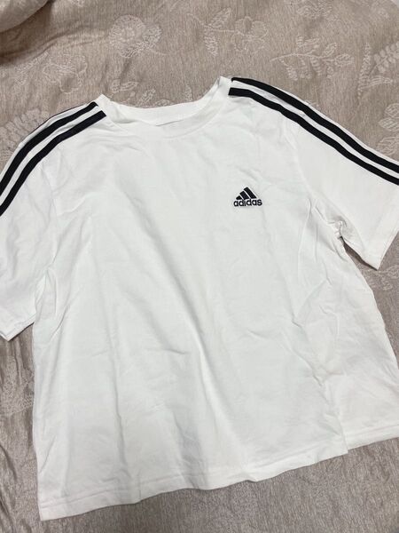 adidas Tシャツ L