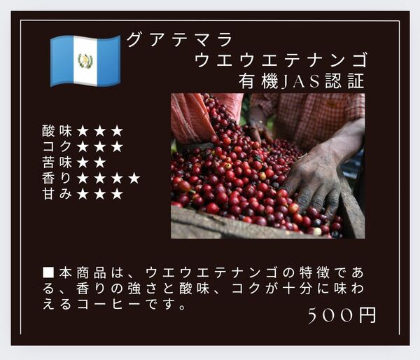 自家焙煎屋 有機栽培珈琲豆 coffee グアテマラ ウエウエテナンゴ 250g
