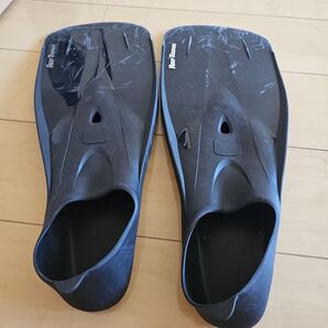 フィン