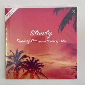 【レア】Slowly - Tripping Out レコード