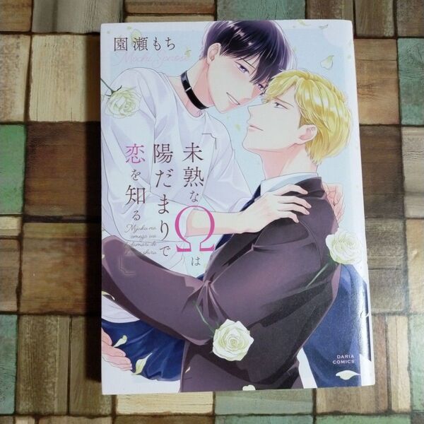 未熟なΩは陽だまりで恋を知る