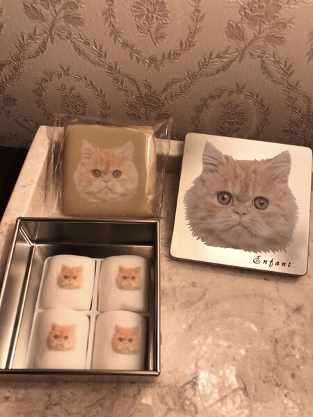 4種set★ねこミニ缶クッキー&マシュマロ