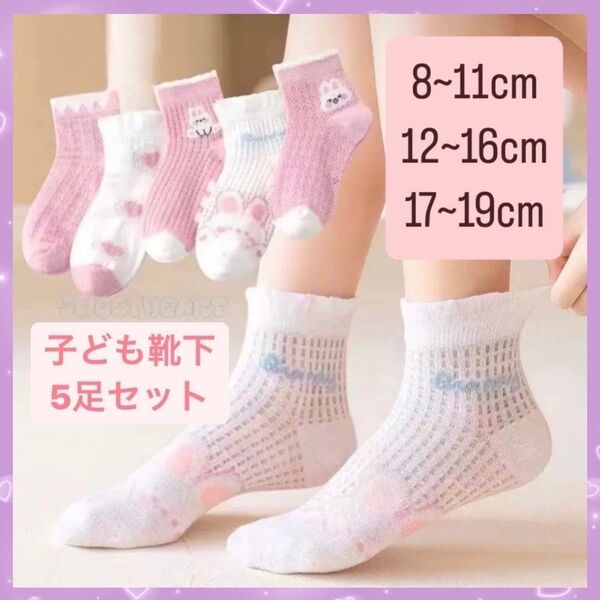 子ども用 靴下 5足セット キッズソックス 通園 通学 女の子 かわいい ウサギ