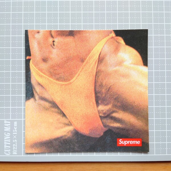 シュプリーム ステッカー Butthole Surfers 21SS 正規品 送料無料!! 匿名配送 追跡可能 SUPREME Supreme supreme