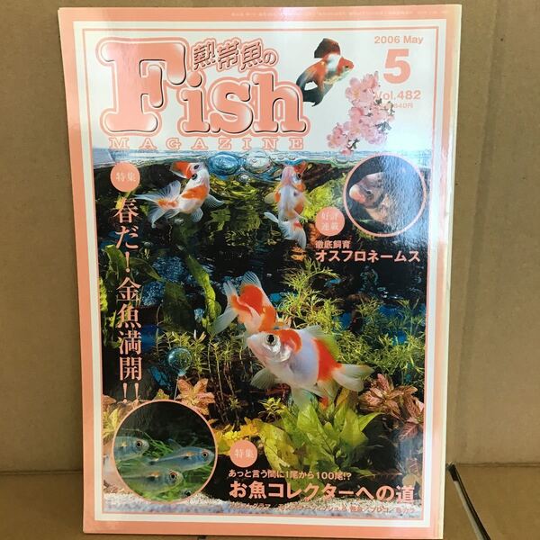 フィッシュマガジン 2006.5 ゆ② 春だ金魚満開 お魚コレクターへの道 オスフロネームス アピストグラマ 金鮒 モンスターフィッシュ プレコ
