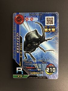 新ムシキング　R　ギガスサイカブト　キラ　M-4-14 美品♪