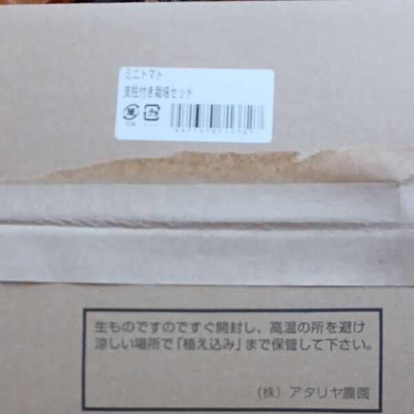 ミニトマト支柱付き栽培セット