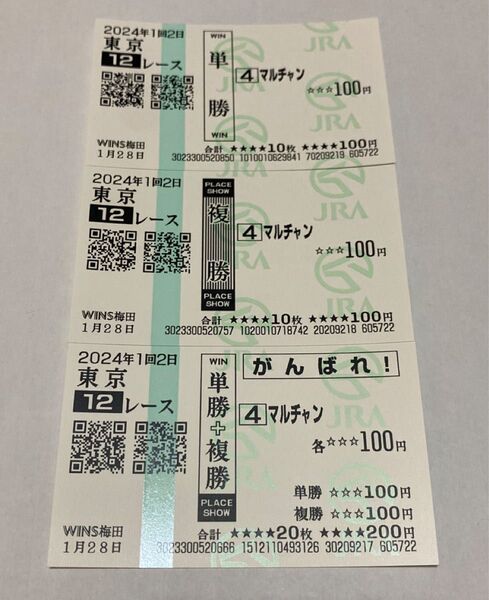 珍名馬券 マルちゃん 単・複・応援馬券セット 場外 マルチャン