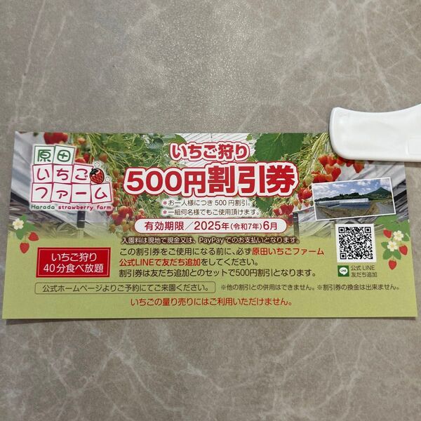 原田いちごファーム 500円割引券