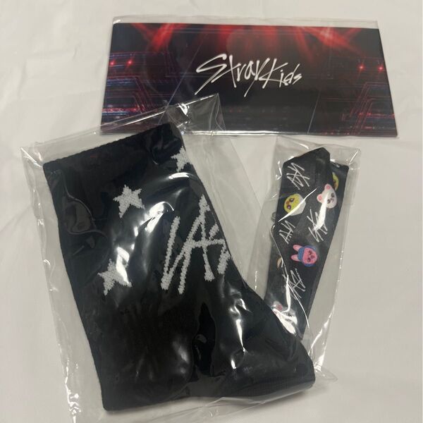 stray kids グッズ