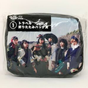 【新品未開封】BISHくじ 2021 トラベル折りたたみバッグ賞