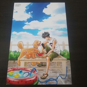 DOG SIGNAL イラストカード